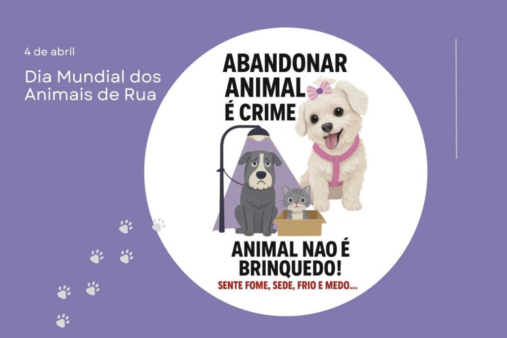 Uma história de abandono, resgate e esperança